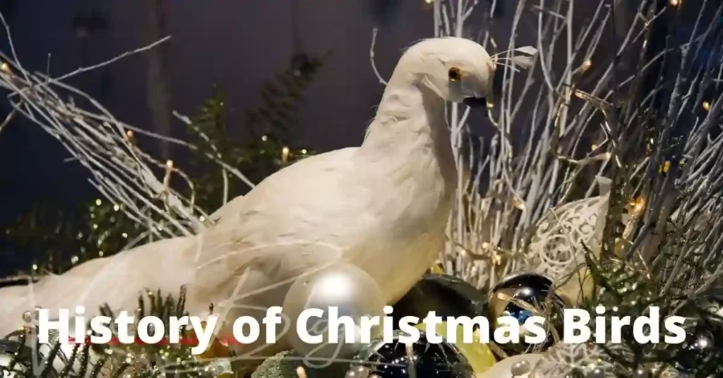History of Halloween Birds and Christmas Birds