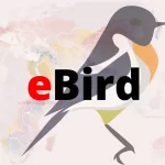What is eBird and Who should use it?