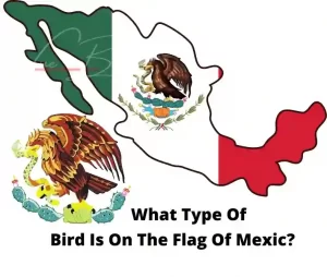 What type of bird is on the flag of mexico