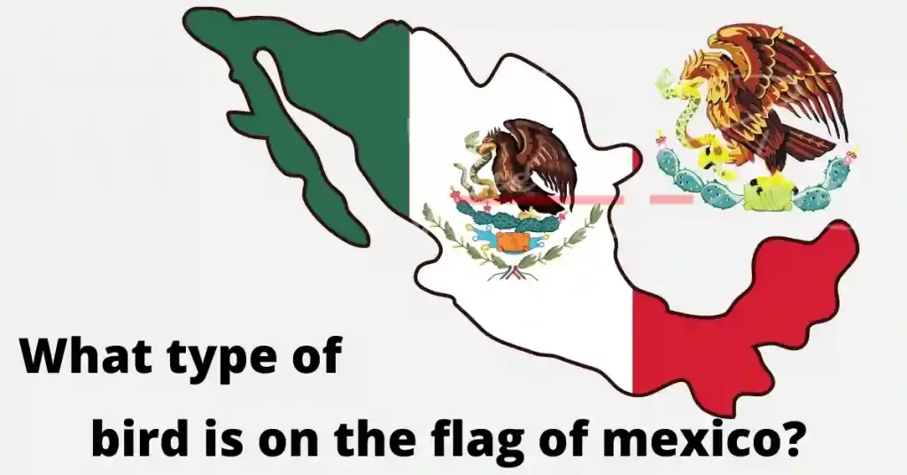 what type of bird is on the flag of mexico