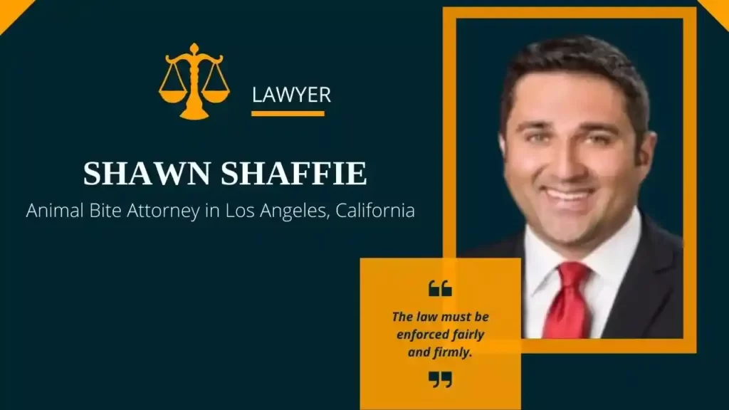 Shawn Shaffie Animal Bite Attorney in Los Angeles California